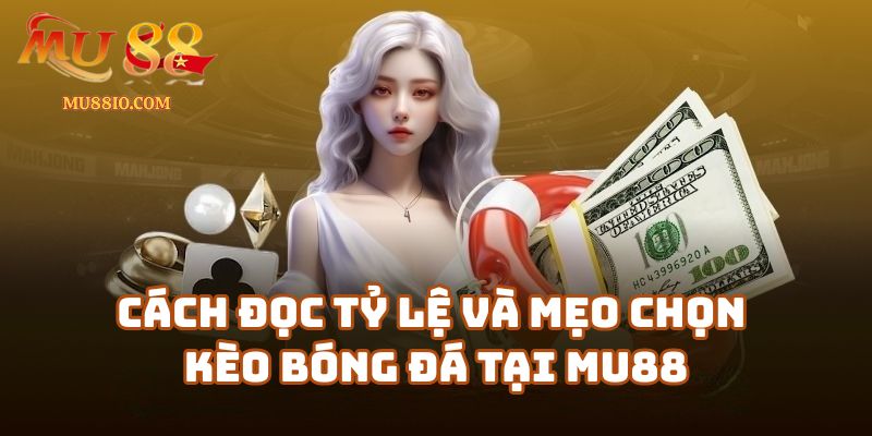 cac loai keo bong da mu88 2 Cách đọc tỷ lệ và mẹo chọn kèo bóng đá tại link-mu88.online